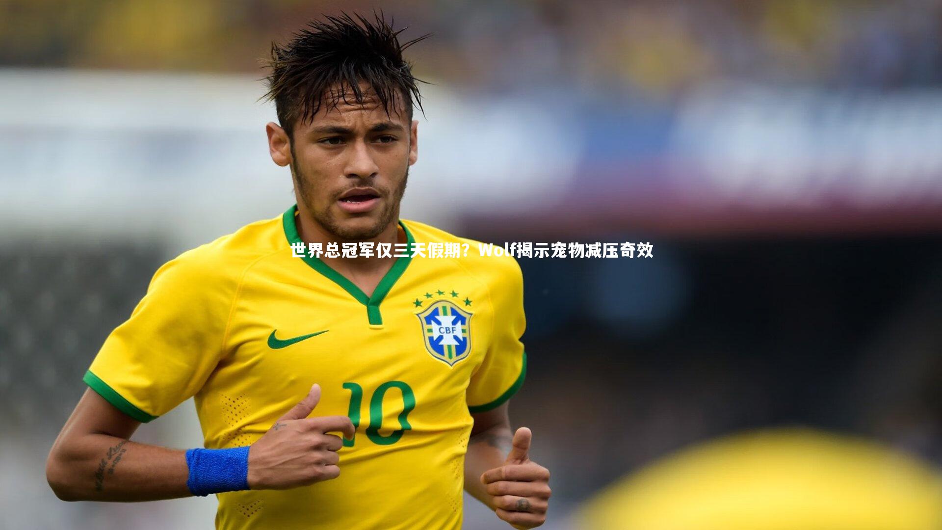 南宫娱乐官网-世界总冠军仅三天假期？Wolf揭示宠物减压奇效